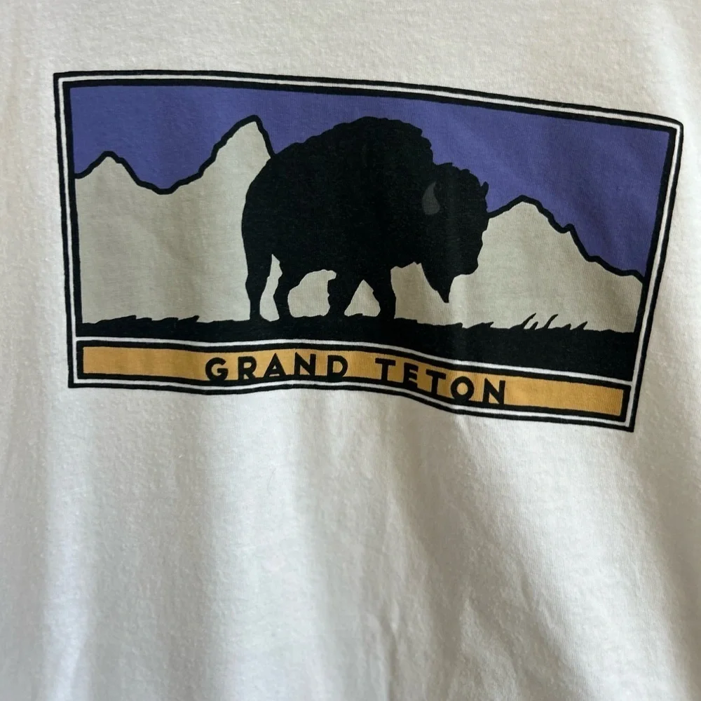 The northface women’s graphic tee size 2x. Outdoor crunchy granola Gorpcore - Picture 4 of 5